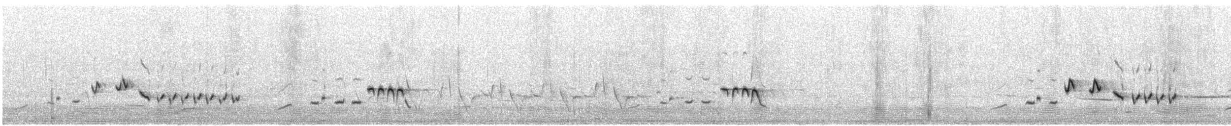 Sedosito Occidental - ML646614370