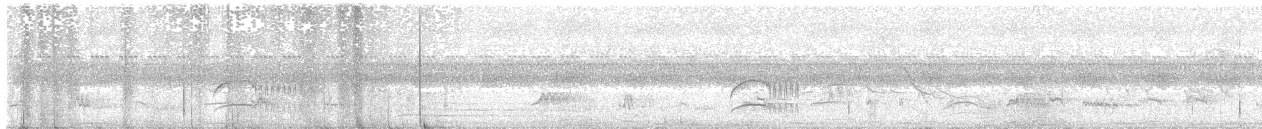 Cliff Flycatcher - ML646614485