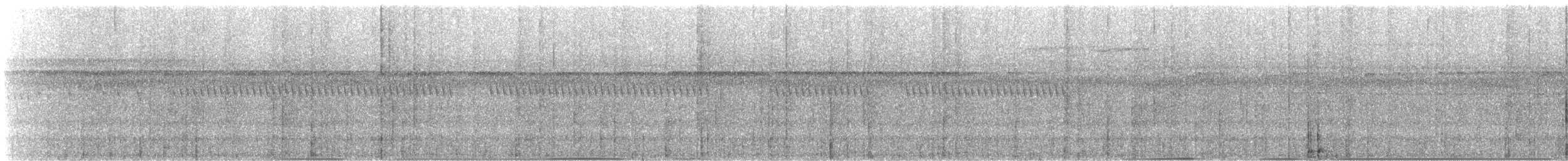 Cracidae sp. - ML646614713