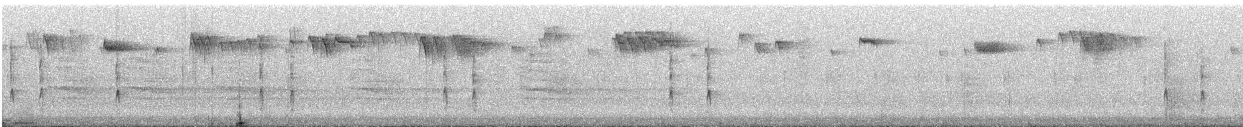 Troglodyte des forêts - ML646614714