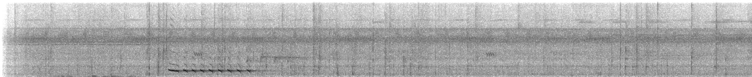 Spotted Antpitta - ML646614737