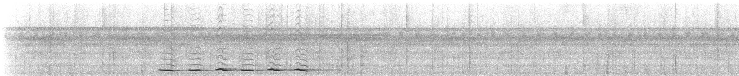 Spotted Antpitta - ML646614759