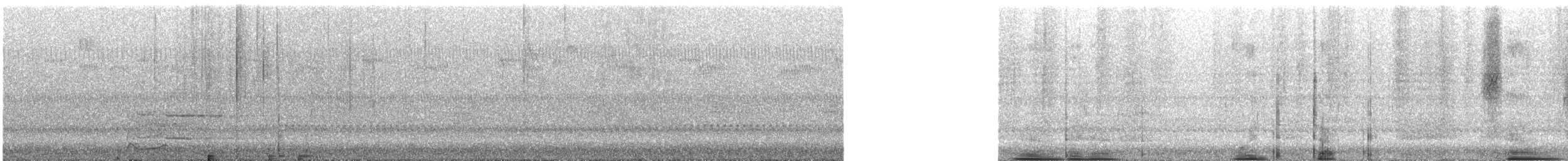 Canard branchu - ML646614760