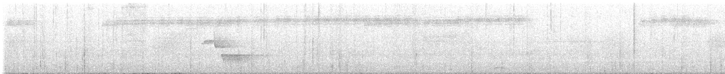 Troglodyte à calotte noire - ML646615059