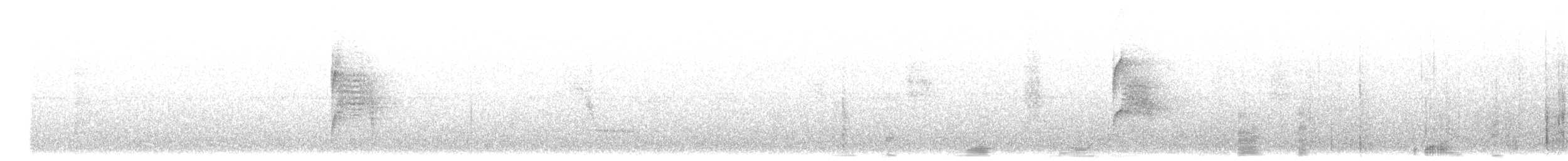 Santa Marta Tapaculo - ML646615079