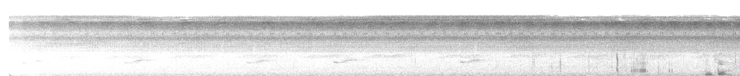 Снежношапочный манакин - ML646615085