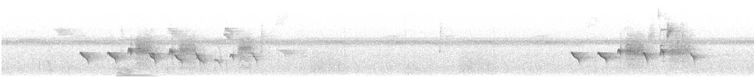 Santa Marta Antbird - ML646615159