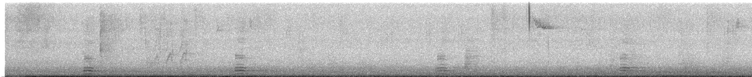 Common Raven - ML646615171