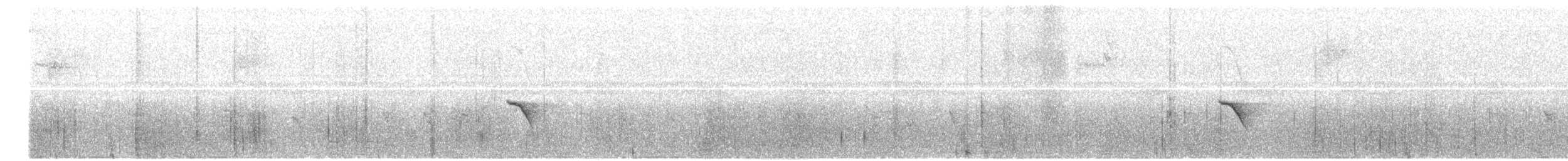 Golden-faced Tyrannulet (Coopmans's) - ML646615371