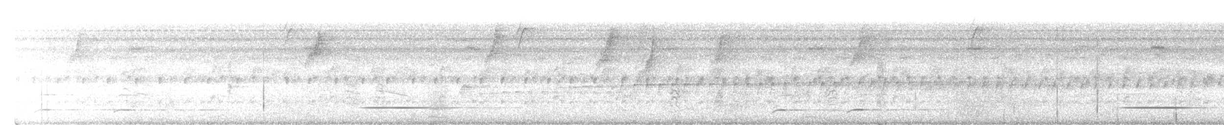 Серый скрытохвост - ML646615526