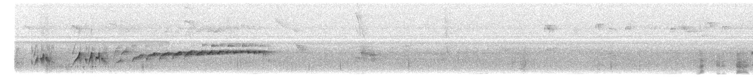 Rußkappen-Kleintyrann - ML646615586