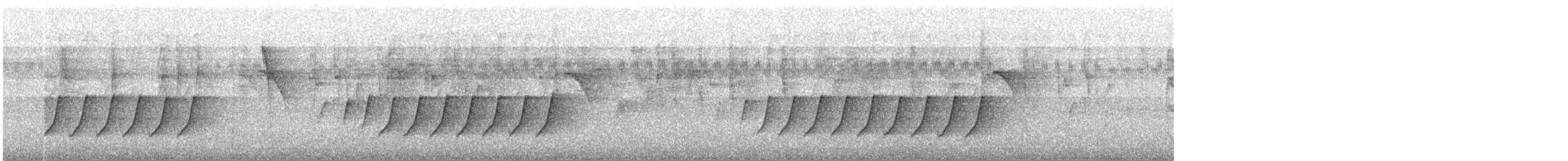 Schwarznackenmonarch - ML646615605