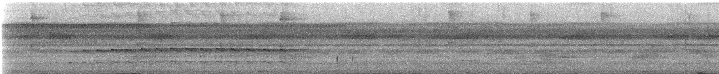 bird sp. - ML646615636