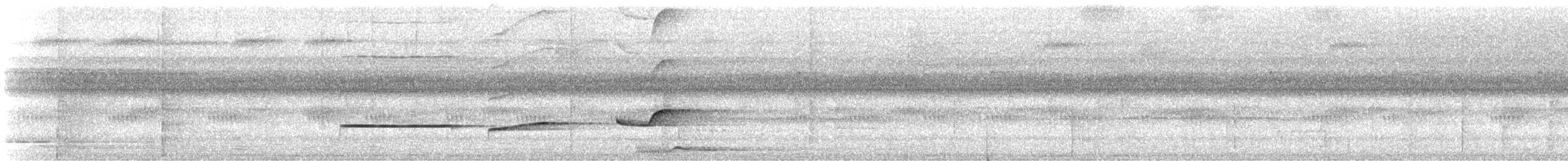 Brown-winged Schiffornis - ML646615720