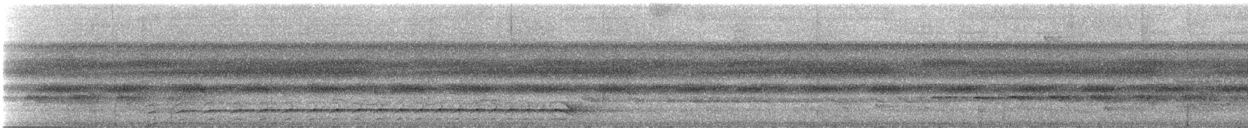 Plain-winged Antshrike - ML646615785