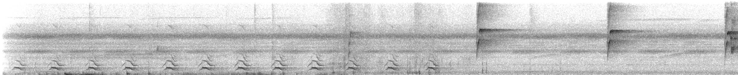 Yellow-olive Flatbill - ML646615845