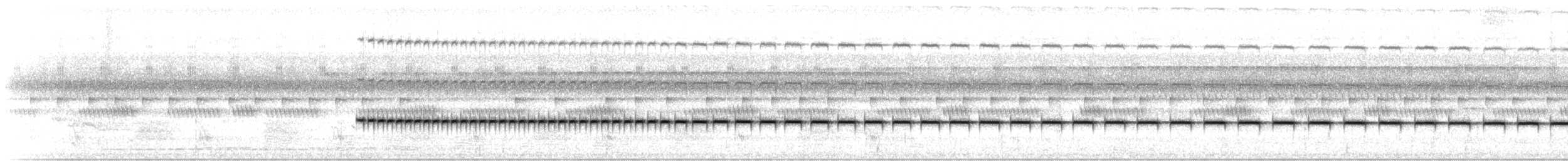 Wing-banded Wren - ML646616054