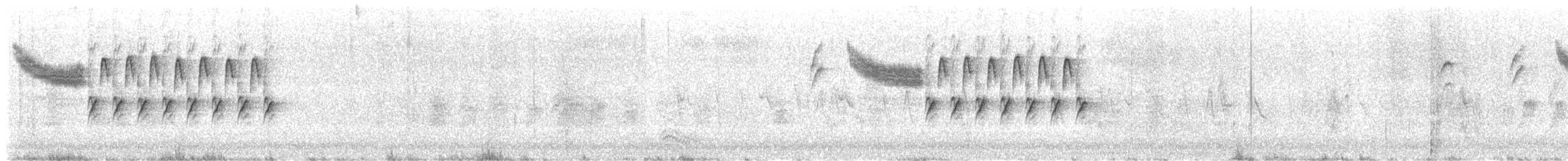 Bewick's Wren - ML646616152