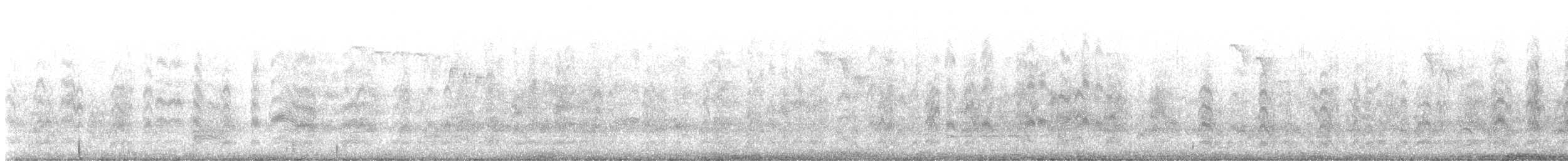 Bonaparte antxeta - ML646616956