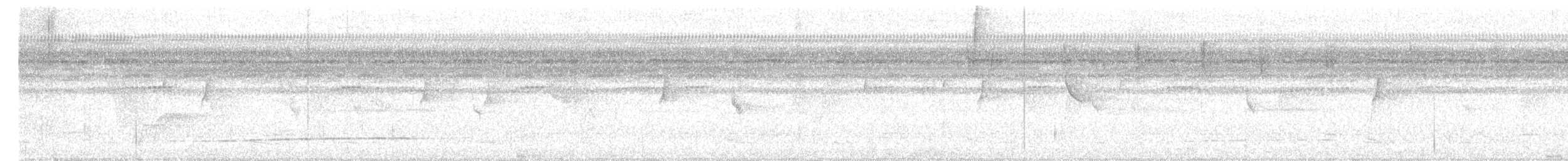 Thicket Antpitta - ML646617020