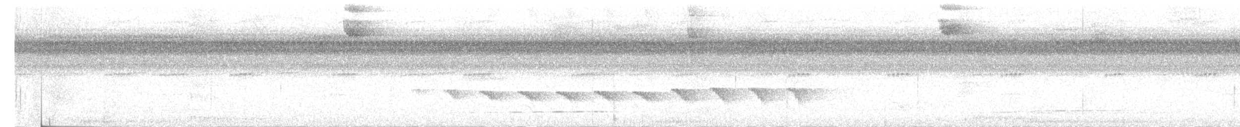 Stub-tailed Antbird - ML646617094