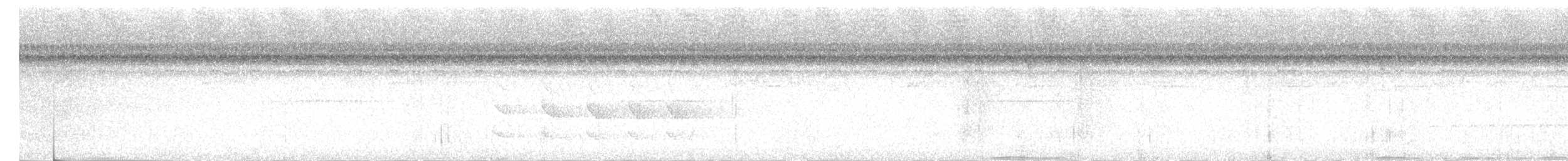 Western Woodhaunter - ML646617536