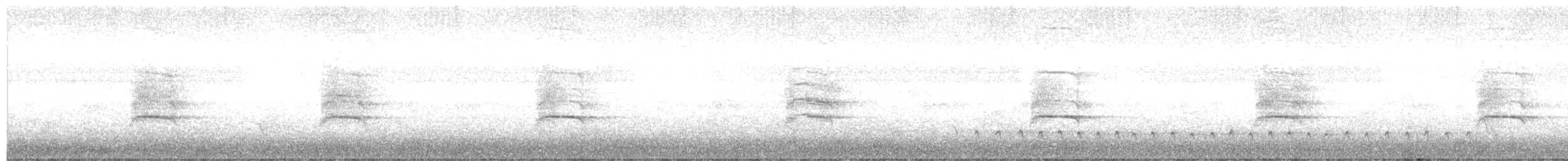 Glossy Black-Cockatoo - ML646617537