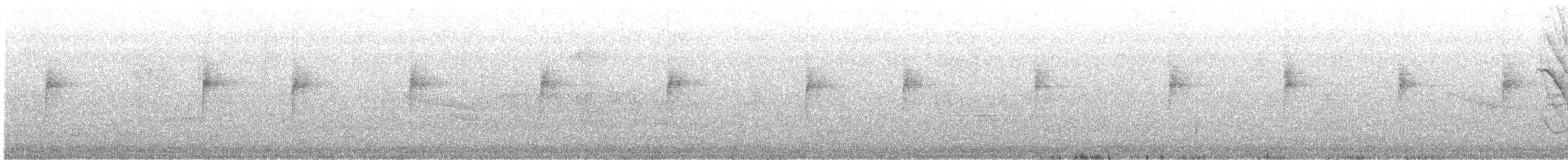 Northern Waterthrush - ML646617740