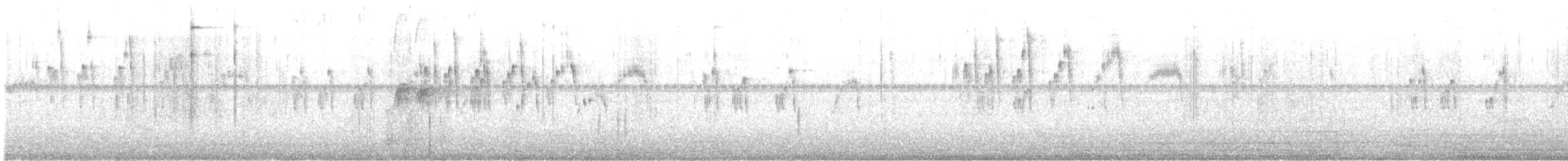 Серобрюхий иглохвост - ML646617795