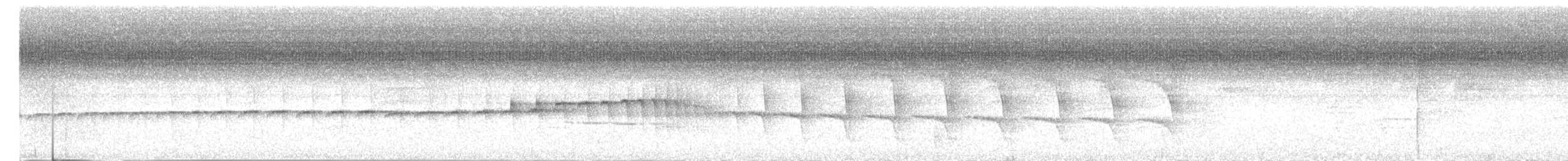 Ocellated Antbird - ML646617952