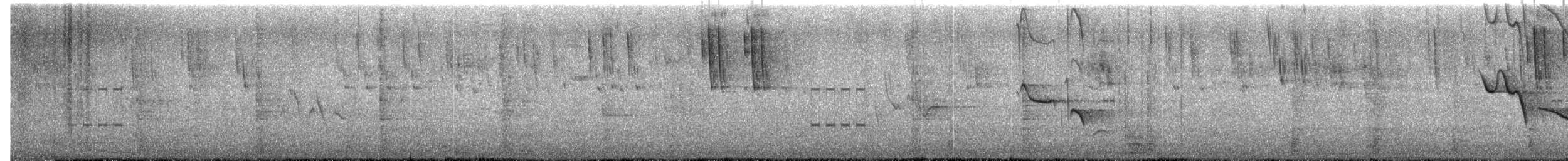 Madagascar Wagtail - ML646617957