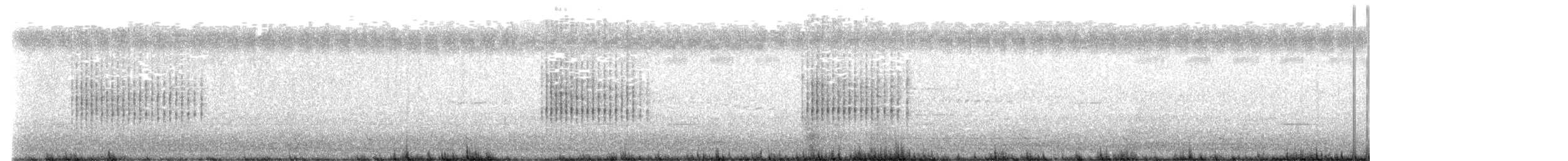 starrsanger - ML646618020