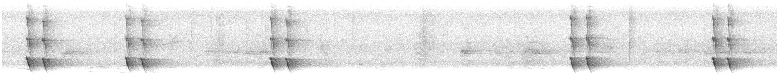 Black-chested Jay - ML646618291