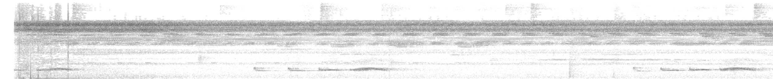 Choco Poorwill - ML646618396