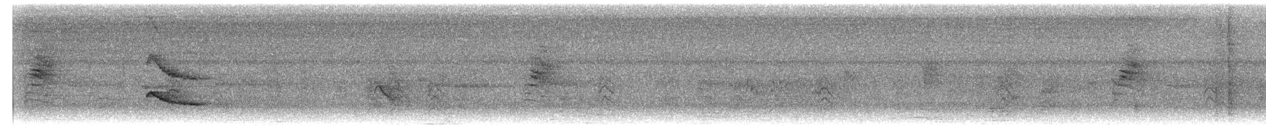 White-browed Gnatcatcher - ML646618411