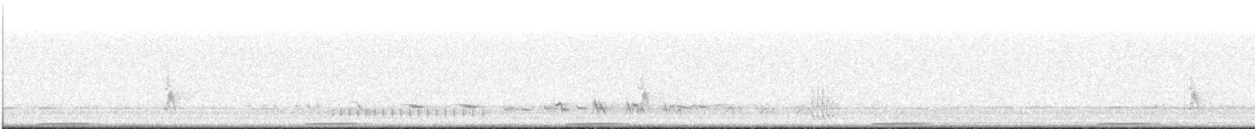 Avustralya Bıldırcınyelvesi - ML646618513