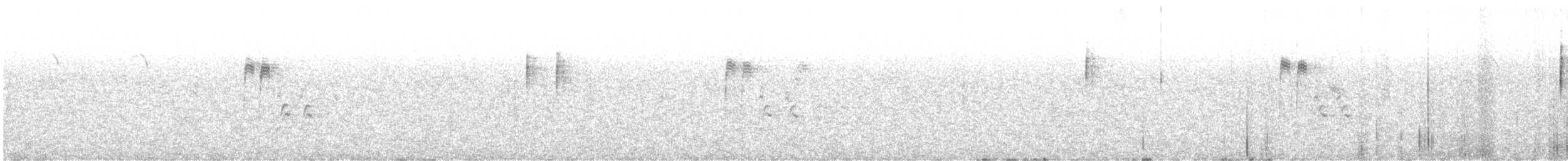 Carbonero Común (Euroasiático) - ML646618522