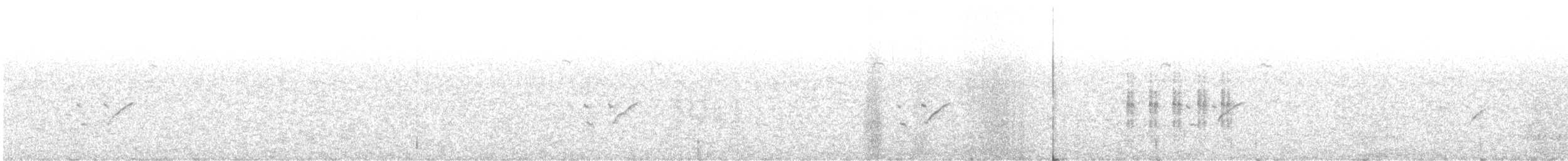 Carbonero Común (Euroasiático) - ML646618523