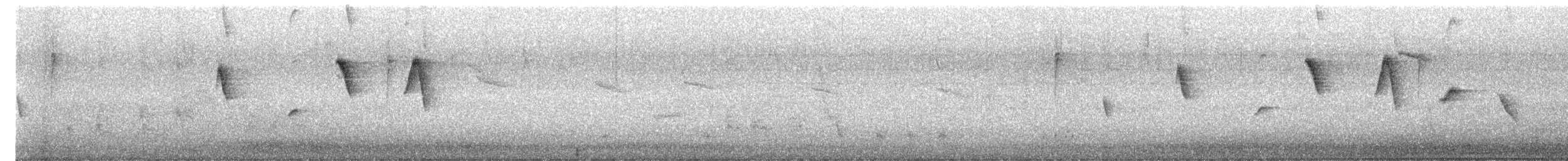 Slender-billed Finch - ML646618596