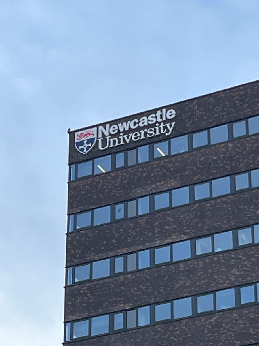 Wanderfalke - ML646618805