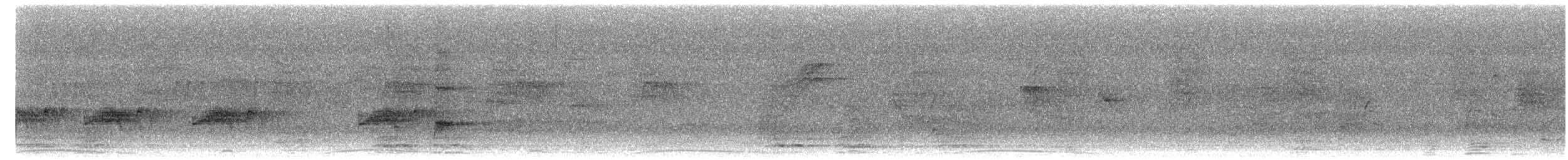 Yellow-bellied Elaenia - ML646618873