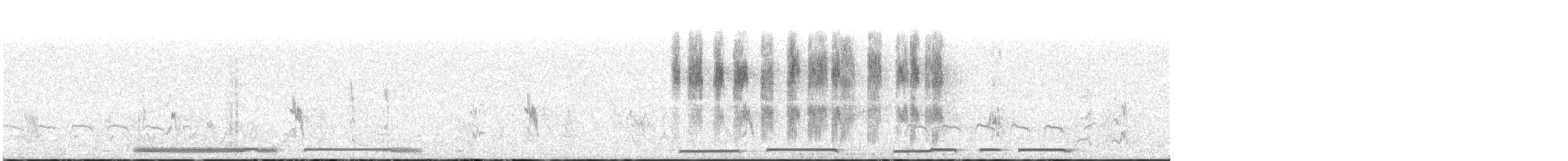 Minyatür Kumru - ML646618995