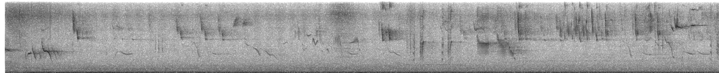 Malagasy Brush-Warbler (Malagasy) - ML646619033