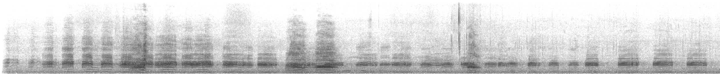 Oca domestica - ML646619869