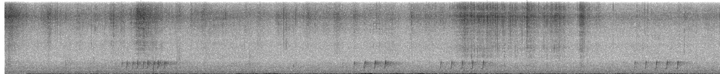 Rufous Vanga - ML646620139