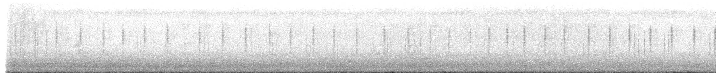 cvrčilka žíhaná - ML646620278