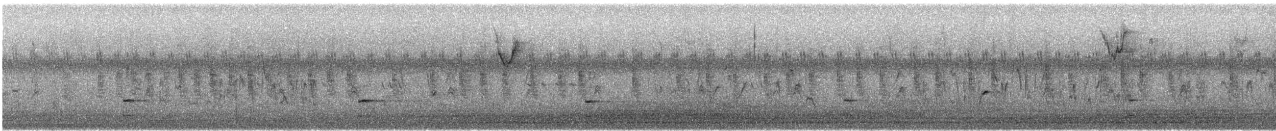 カオグロクイナ - ML646620757