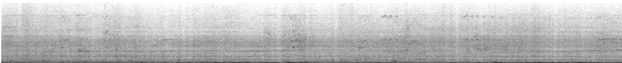 Elegant Tern - ML646620961