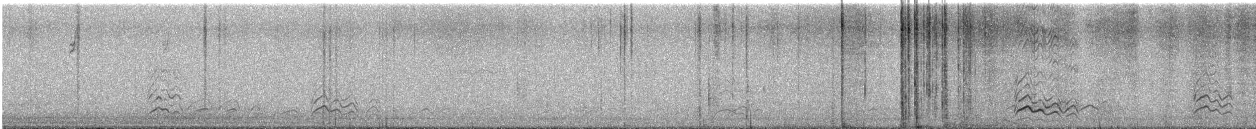 Pinyon Jay - ML646621082