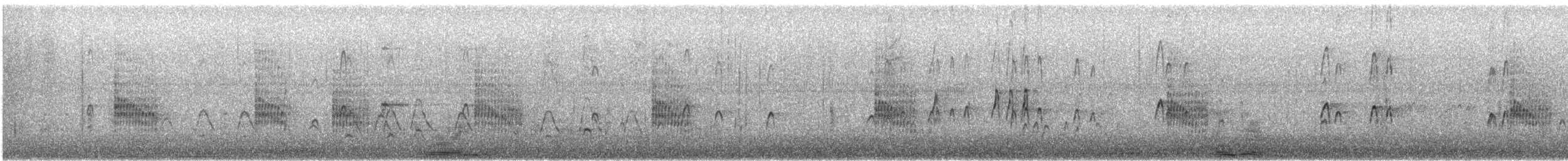 オオハシシギ - ML646621241